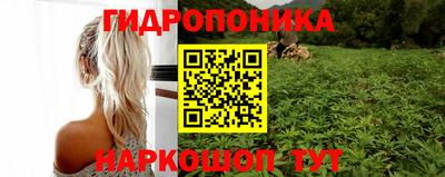 кокс Иваново
