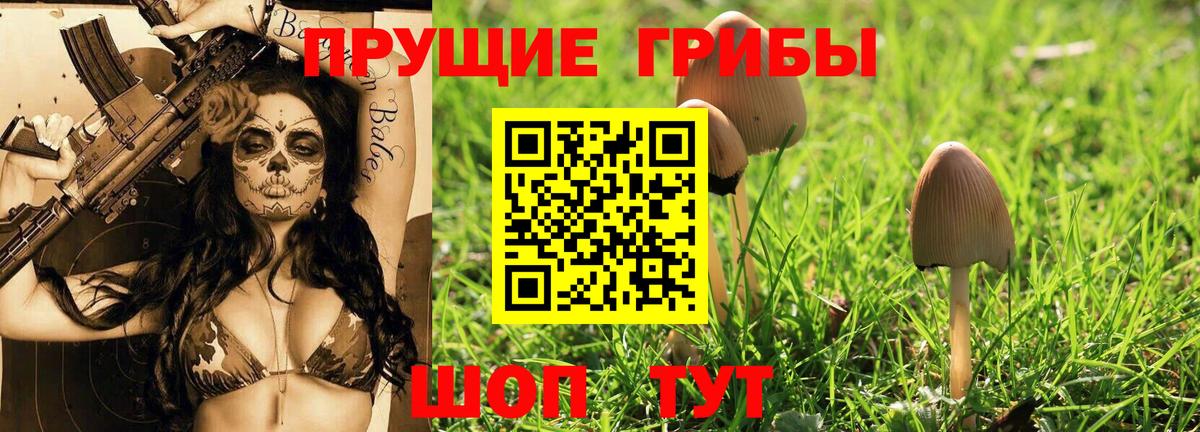 Галлюциногенные грибы GOLDEN TEACHER Белореченск