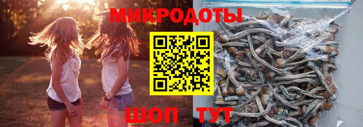 Псилоцибиновые грибы Psilocybine cubensis  Вход с VPN  Белореченск 